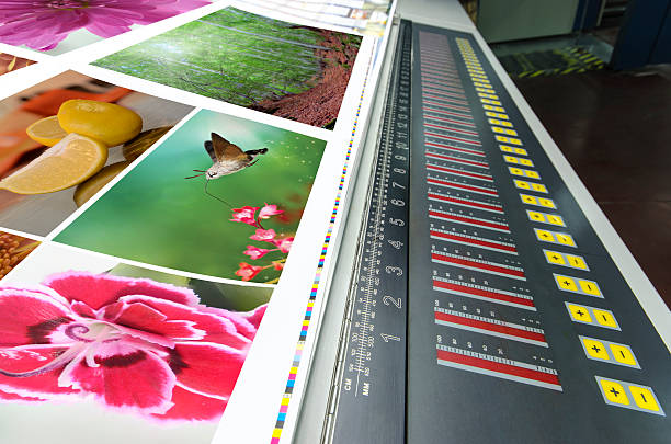 Comprehensive Services for Printed Vinyl Graphics in Denver